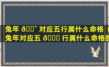 兔年 🐯 对应五行属什么命格（兔年对应五 🐘 行属什么命格的人）